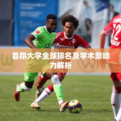 鲁昂大学全球排名及学术影响力解析