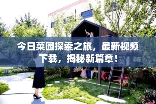 今日菜园探索之旅，最新视频下载，揭秘新篇章！
